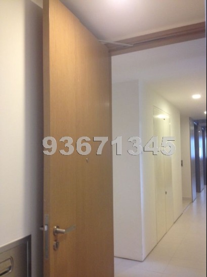 Ascentia Sky (D3), Condominium #671472